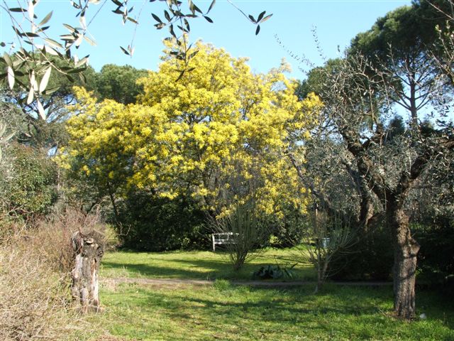  Giardino Liuzzo 1